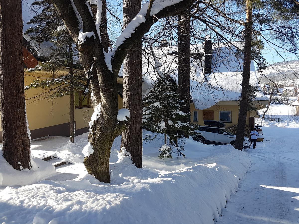 Willa Sunshine Zakopane Chalet Esterno foto